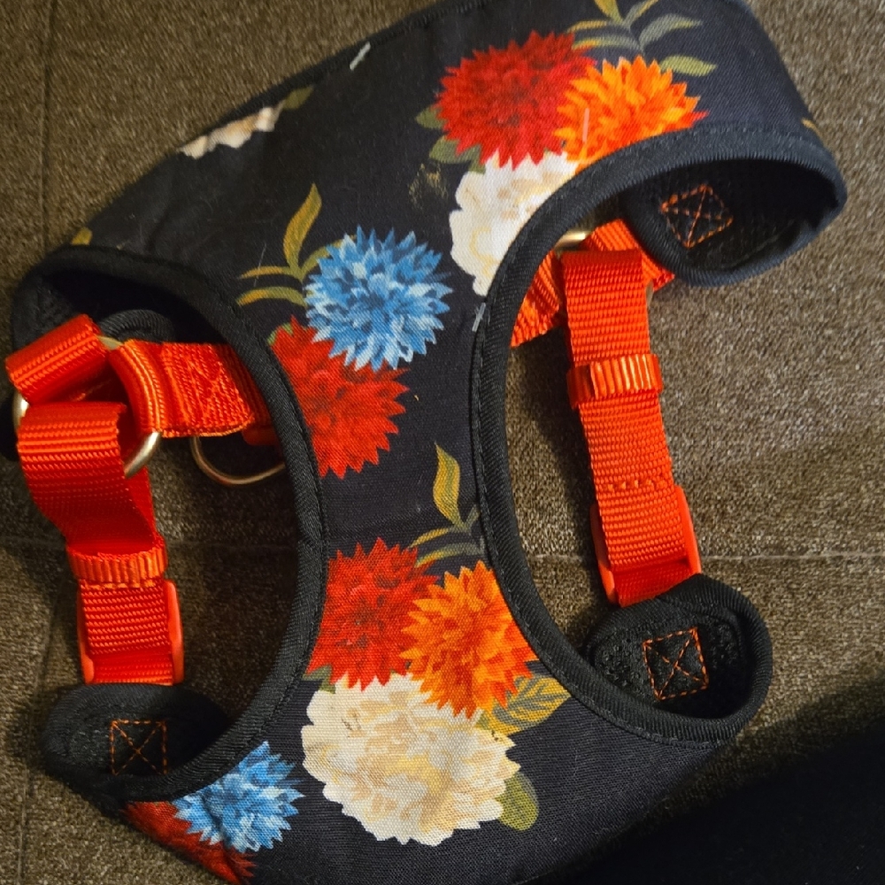Floral Dog Harness with Red Straps
